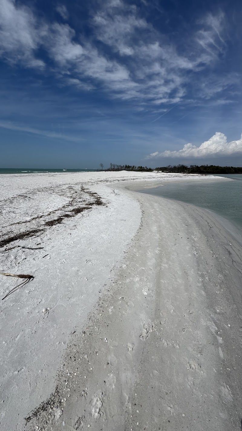 Island Time Tours FL photo 5