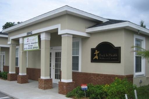 Back In Health Wellness Center : Cindy Perkins, DC, MBA photo 2