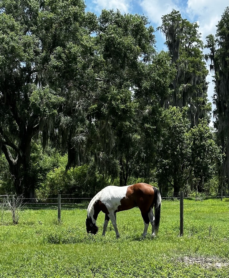 3 Bar S Ranch Inc photo 3