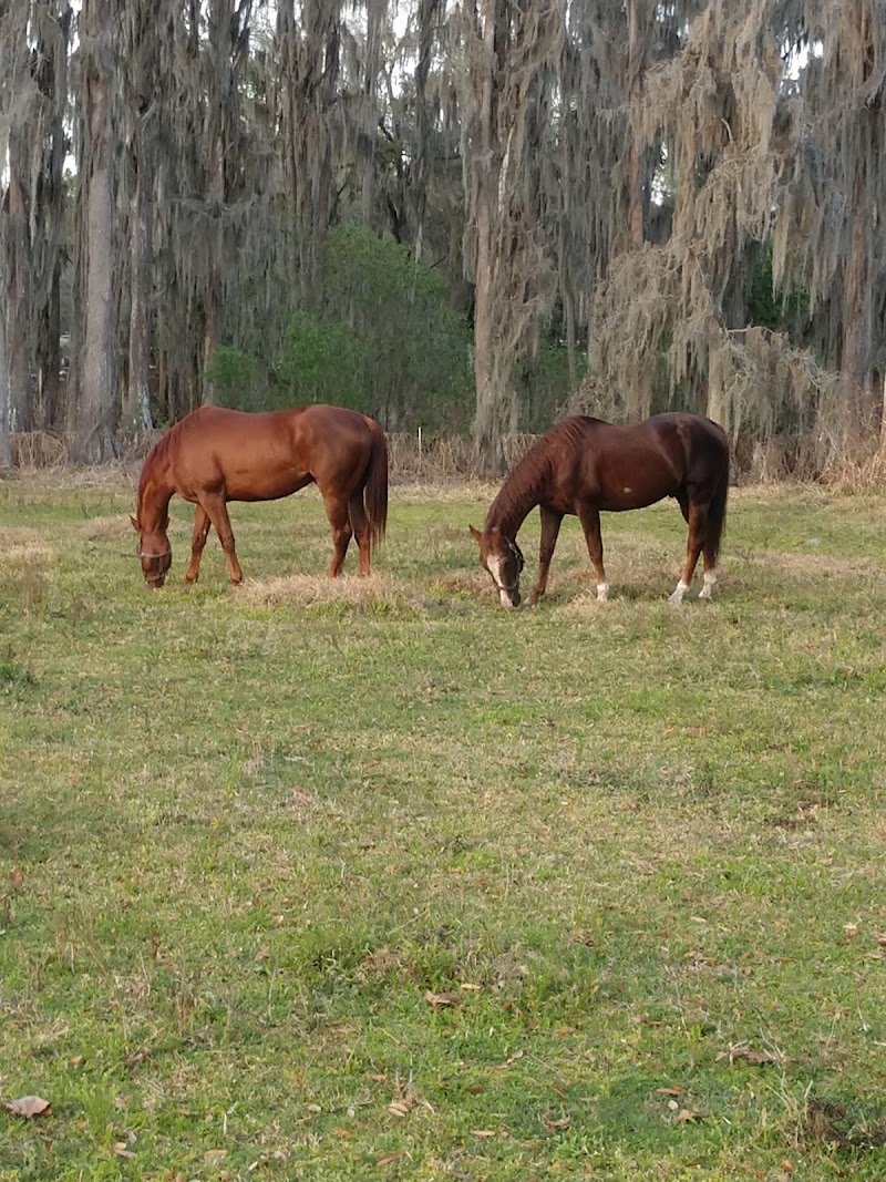 3 Bar S Ranch Inc photo 2
