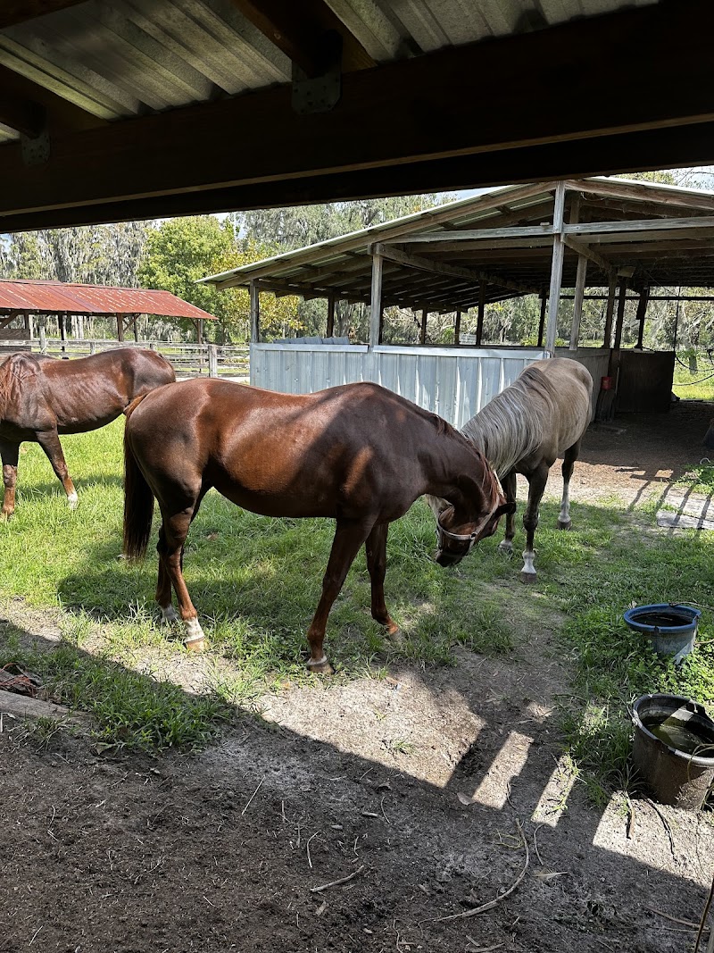 3 Bar S Ranch Inc photo 4