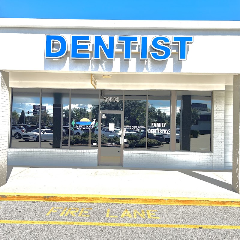 Land O' Lakes Dental Care photo 4