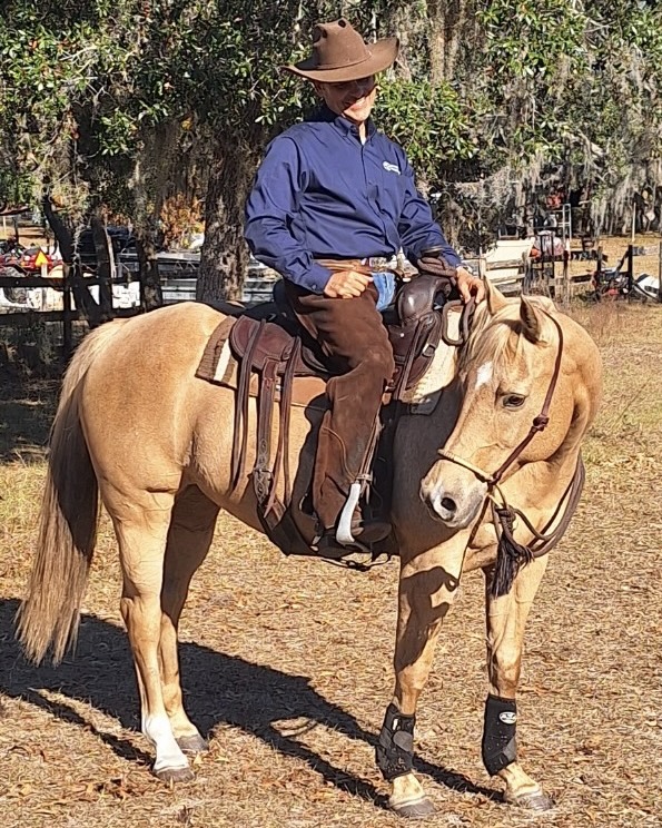 Photo of Platinum Horsemanship