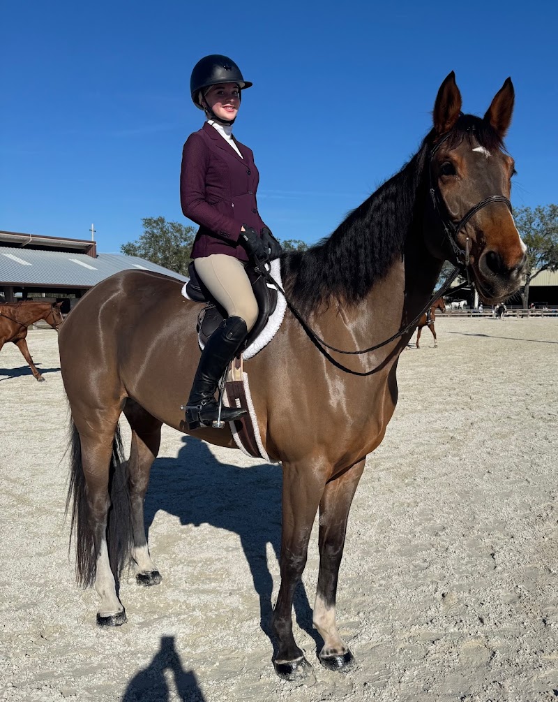 Platinum Horsemanship photo 2