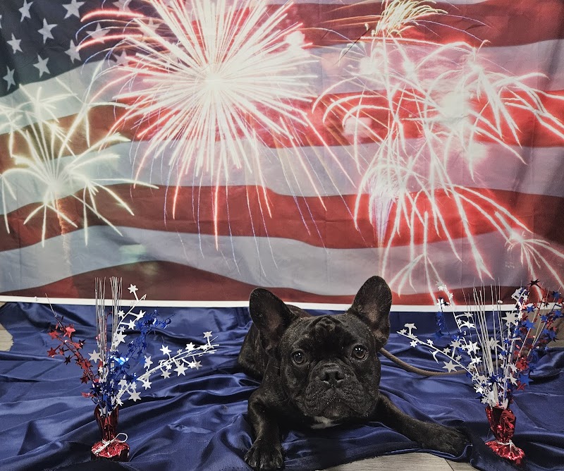 Hudson K-9 Emporium photo 2