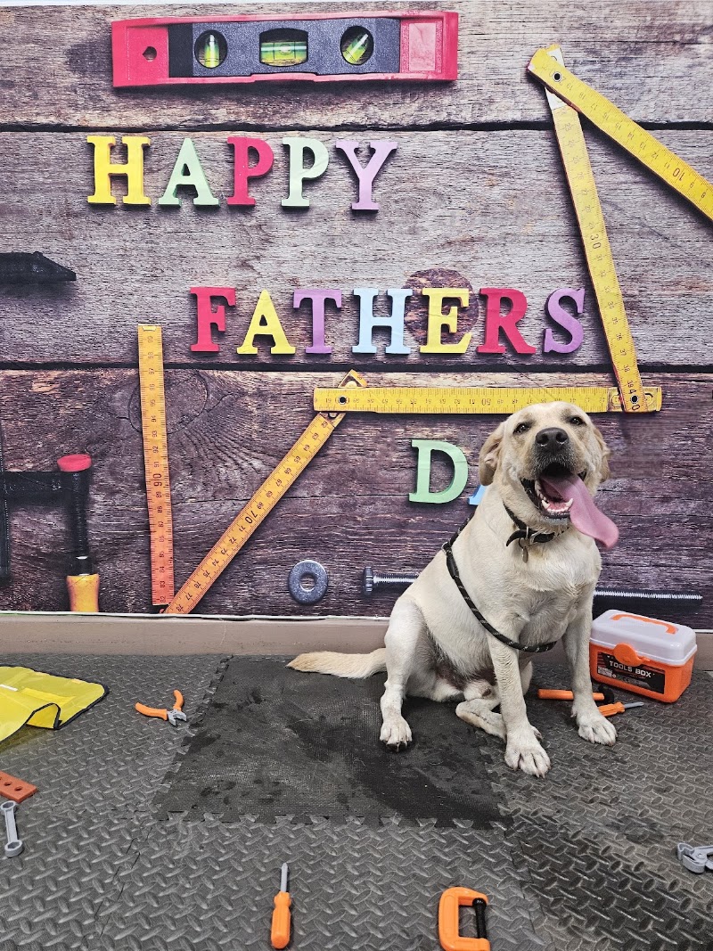 Hudson K-9 Emporium photo 3