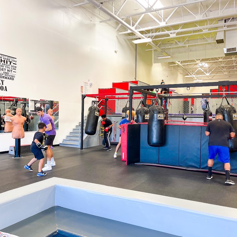 SPF Parkour Academy Train Like a Ninja- Mesa-Gilbert photo 5