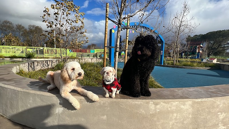 Photo of Dogs With Ties