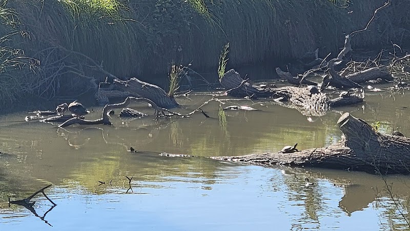 North Laguna Creek Wildlife Area photo 3