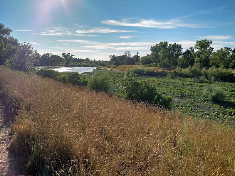 Photo of North Laguna Creek Wildlife Area