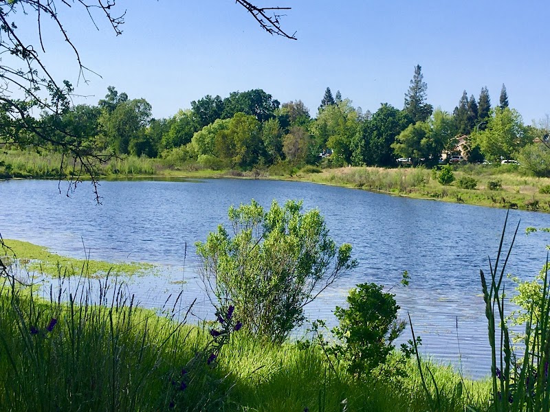 North Laguna Creek Wildlife Area photo 2
