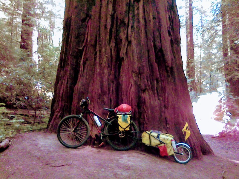 Bicycle World photo 5