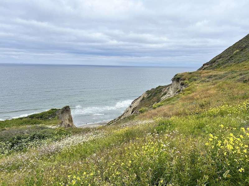 Mussel Rock Park photo 4