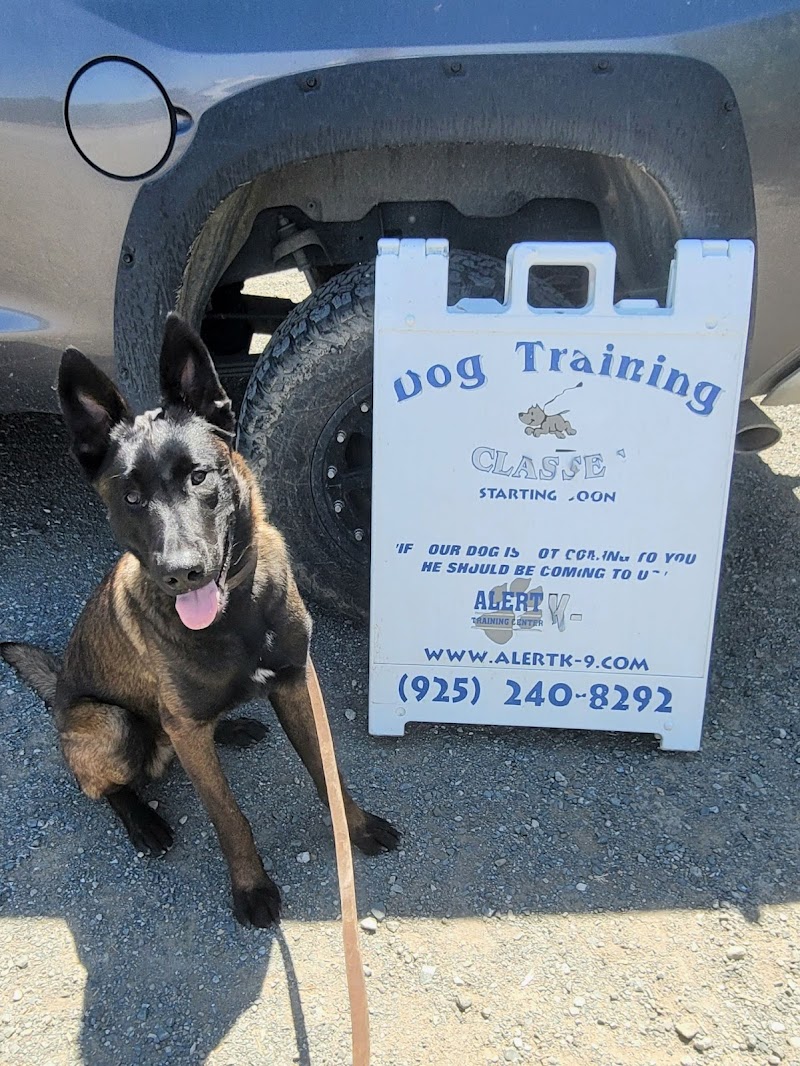ALERT K-9 TRAINING CENTER photo 3