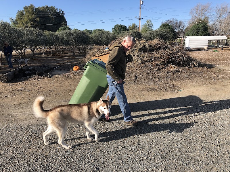ALERT K-9 TRAINING CENTER photo 2
