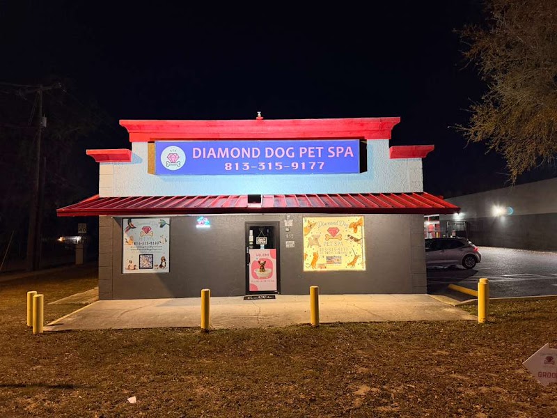 Diamond Dog Pet Spa photo 5