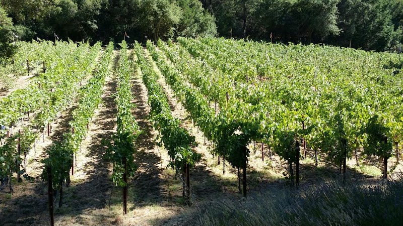 Château Boswell Winery photo 3