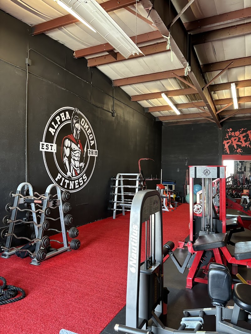Crossover Physical Therapy & Performance photo 2