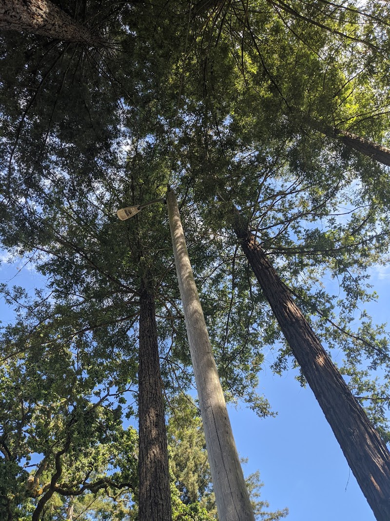 Ives Park photo 5