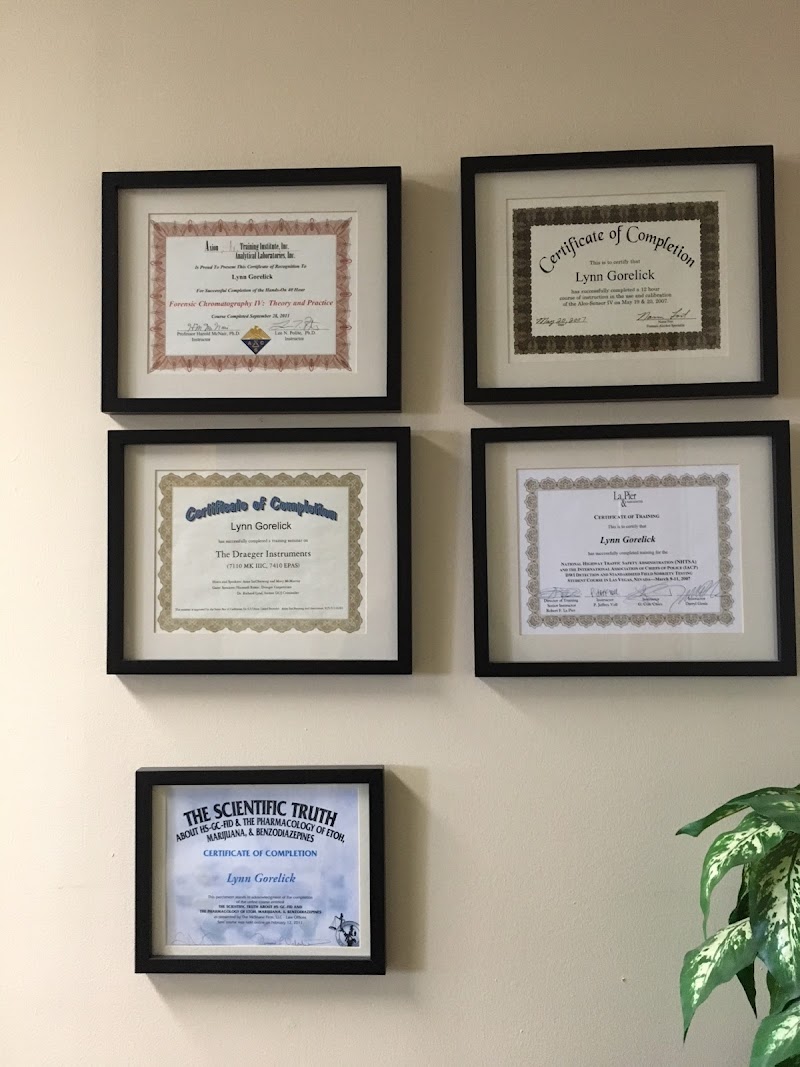 Gorelick Law Offices photo 2