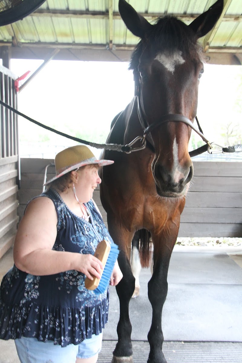 Redwood Farm photo 3