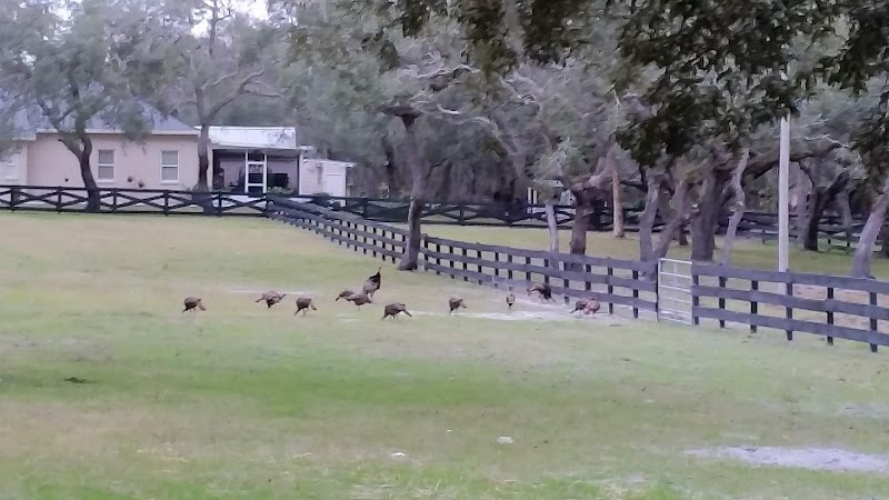 Photo of Redwood Farm