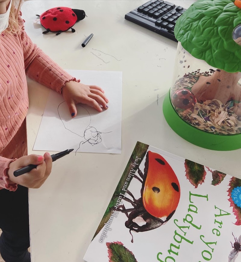 Story Garden Preschool photo 4