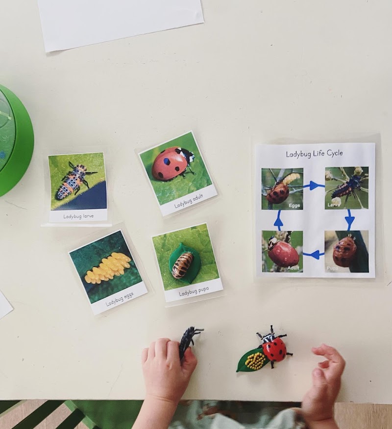 Story Garden Preschool photo 5