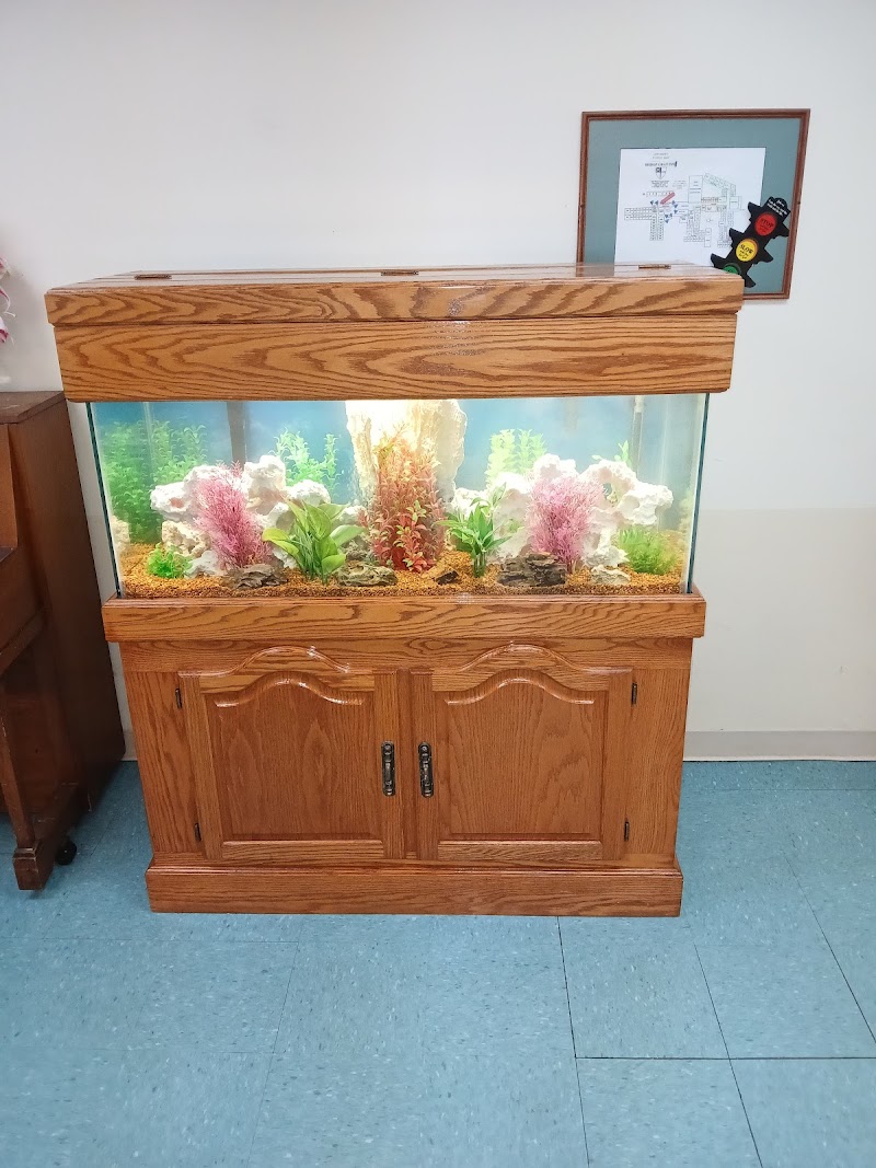 Seabreeze Aquariums L.L.C. photo 4