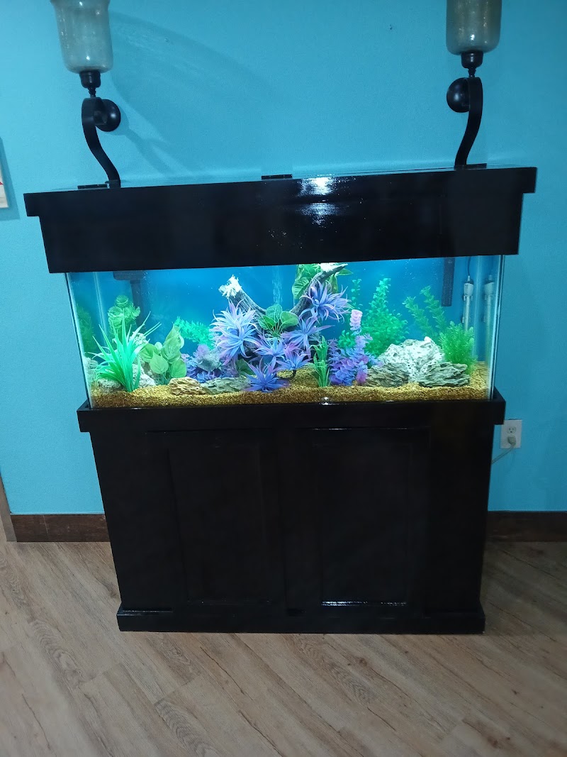 Seabreeze Aquariums L.L.C. photo 2