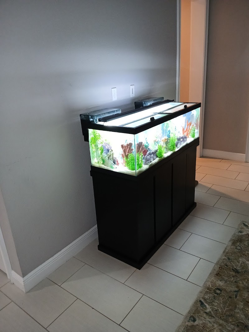 Seabreeze Aquariums L.L.C. photo 3