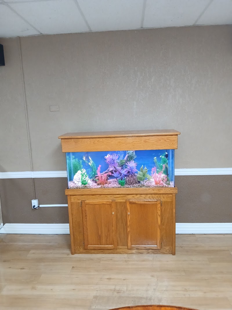 Photo of Seabreeze Aquariums L.L.C.