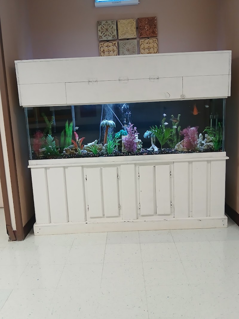 Seabreeze Aquariums L.L.C. photo 5