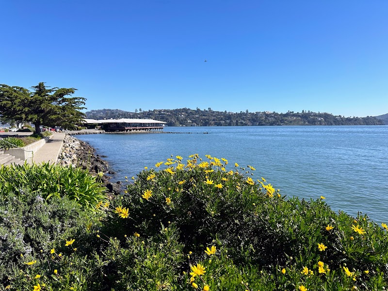 Gabrielson Park photo 5