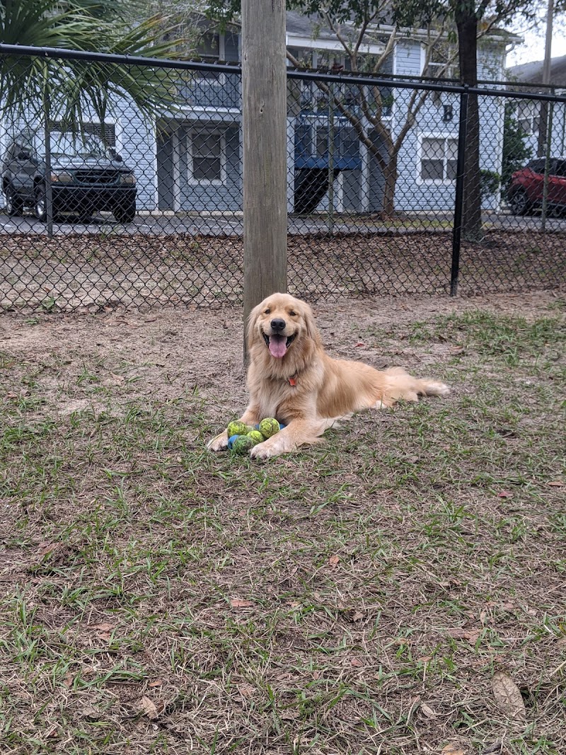 Temple Terrace Dog park photo 3