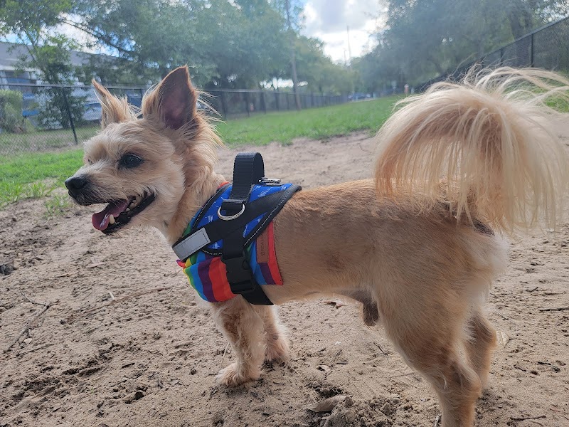 Temple Terrace Dog park photo 4