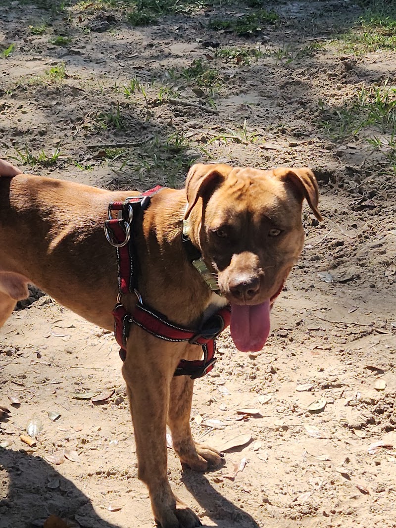 Temple Terrace Dog park photo 2