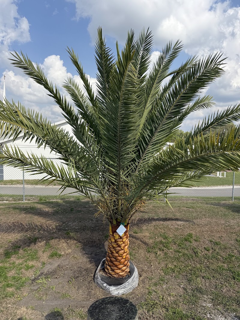 One Stop Landscape Supply photo 4