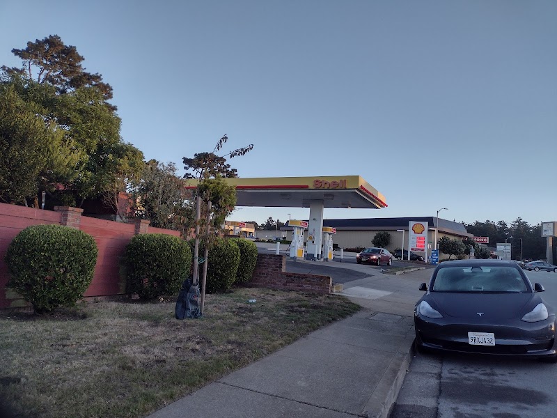 Shell photo 2