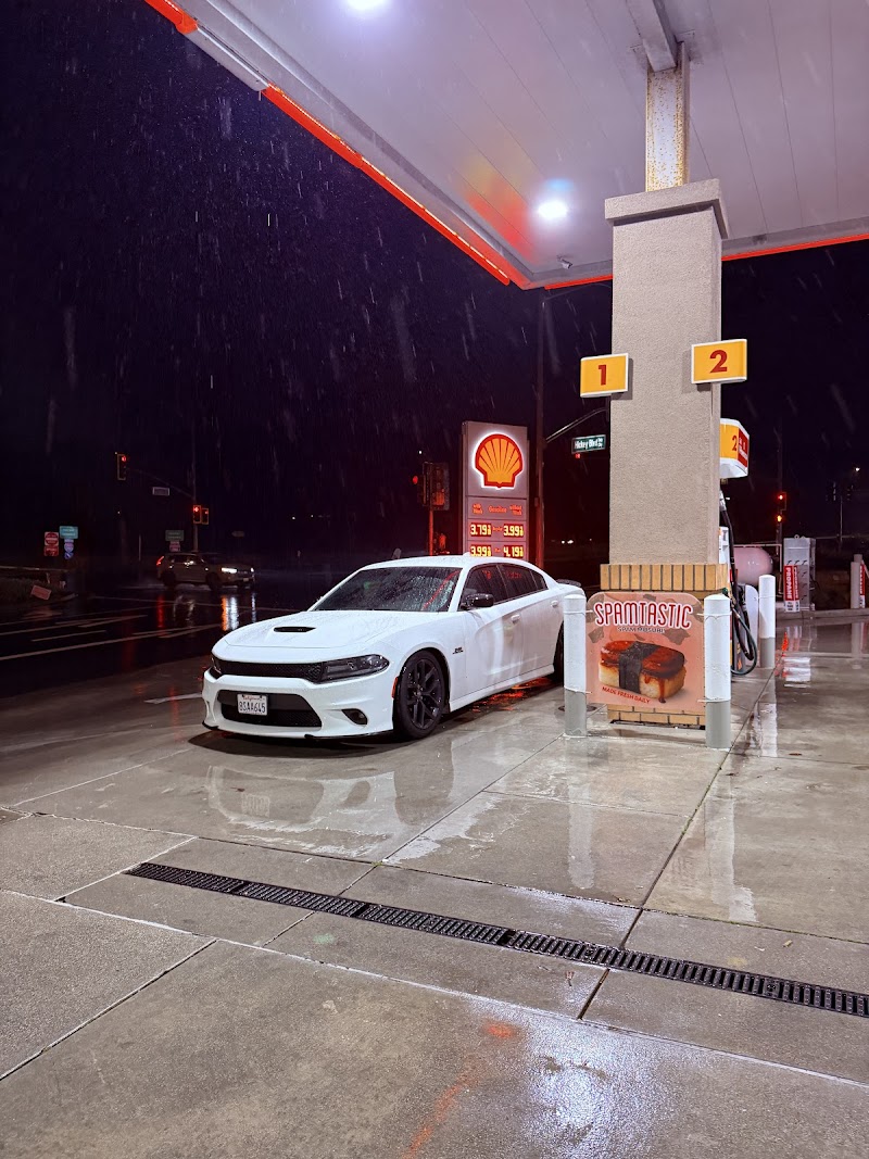 Shell photo 3