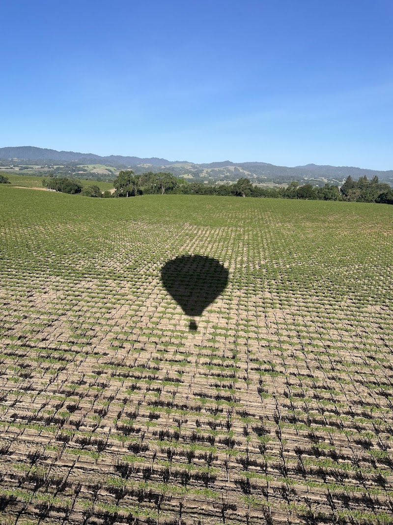 Santa Rosa Ballooning photo 4