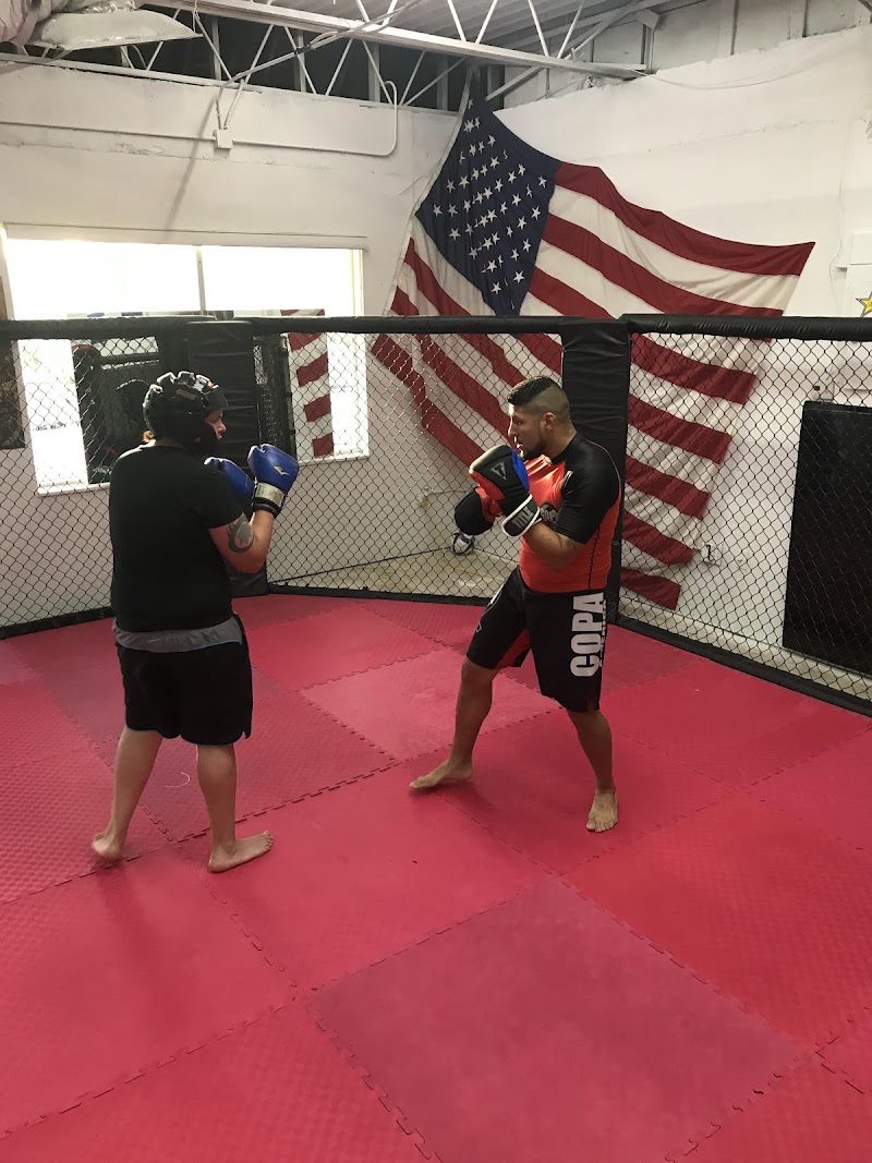 SMITH BROTHERS FIGHTING ACADEMY photo 2