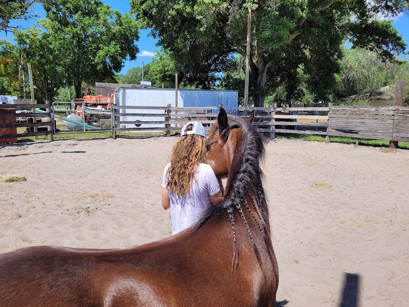 Double T Ranch photo 2