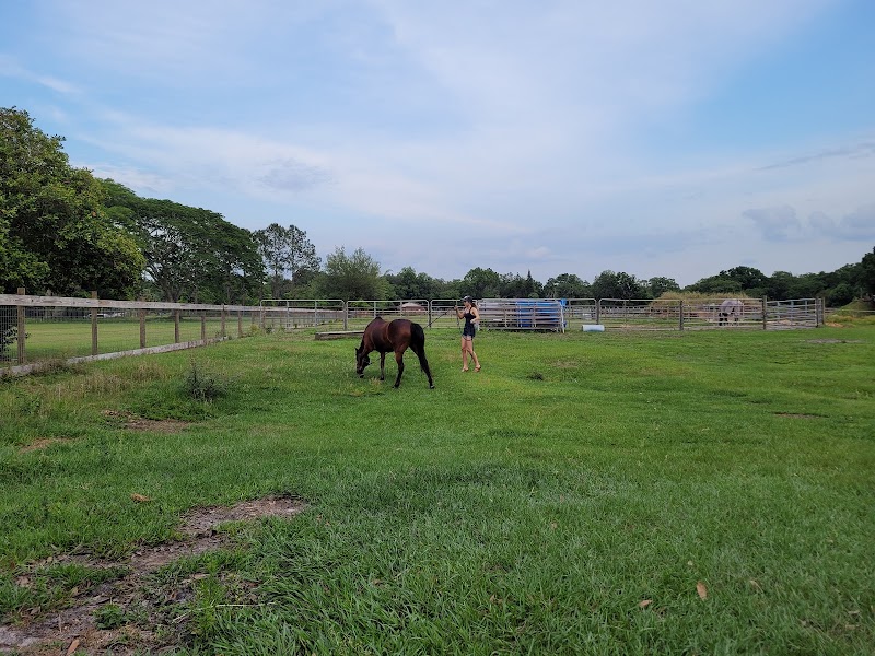Double T Ranch photo 5