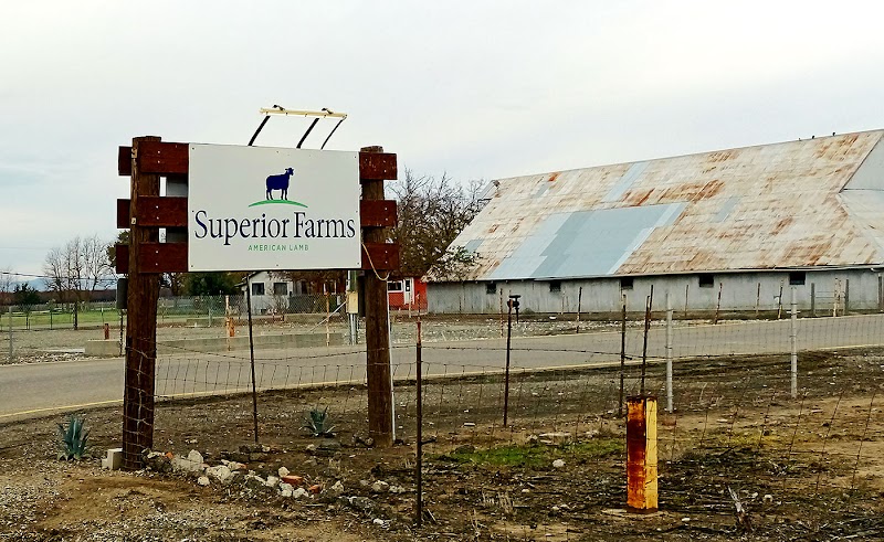 Superior Farms photo 3