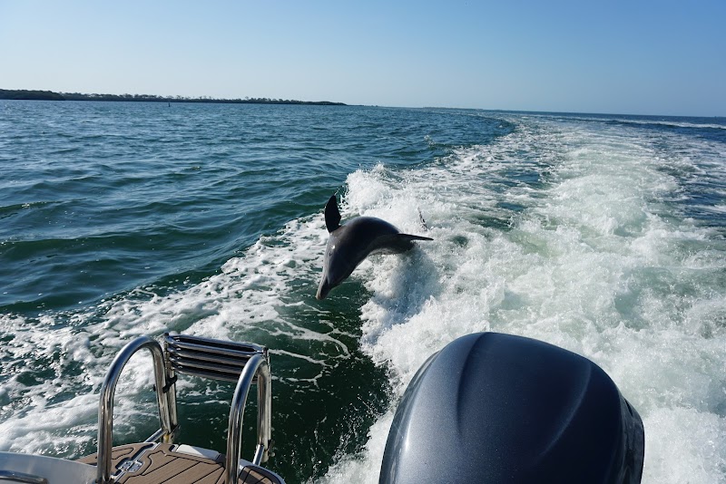 Photo of A Boat Day