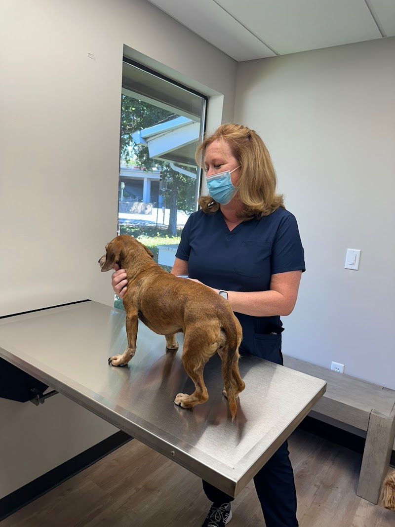 Diablo Valley Animal Hospital photo 4