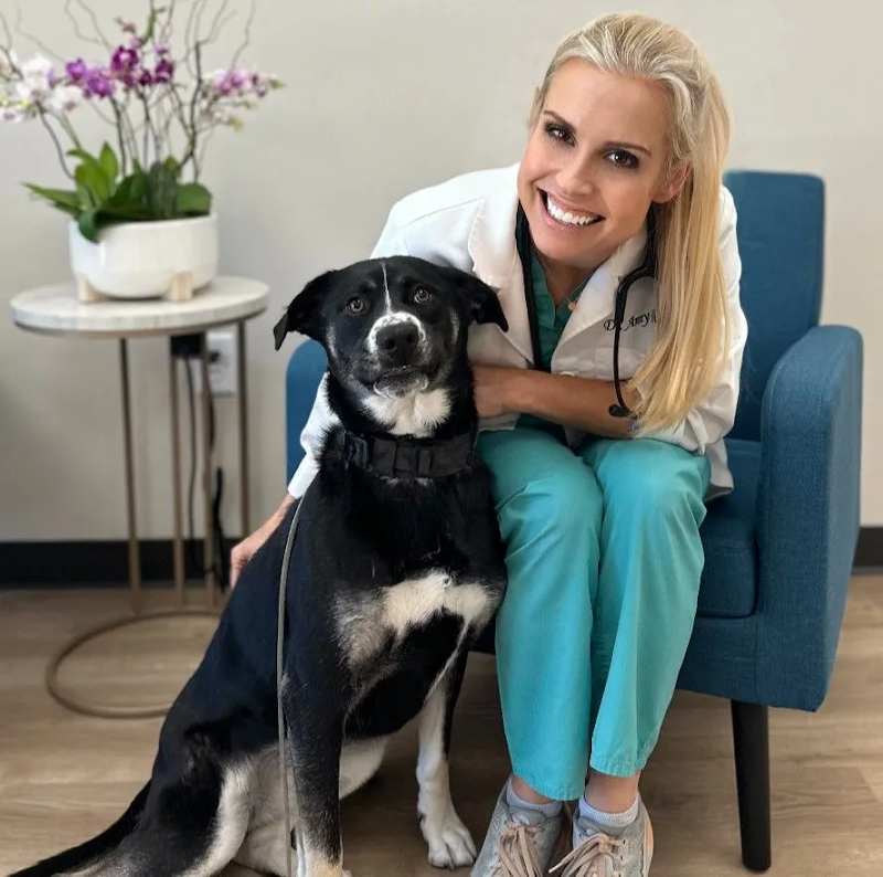 Diablo Valley Animal Hospital photo 2