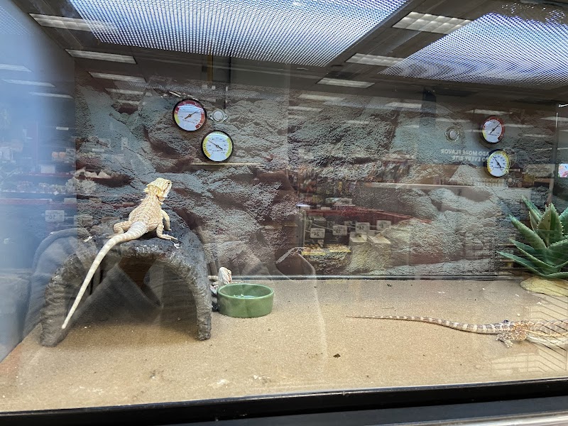 Petco photo 3