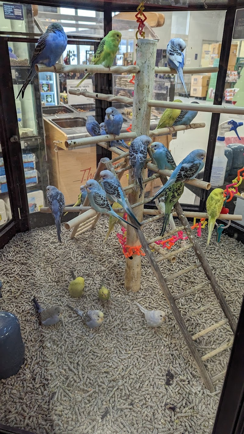 Petco photo 4